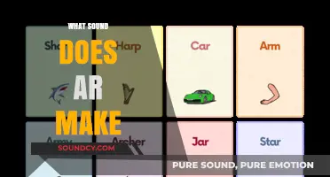 Decoding the 'AR' Sound: Phonics, Pronunciation, and Practical Examples