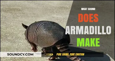 Unveiling the Unique Noises: What Sound Does an Armadillo Make?