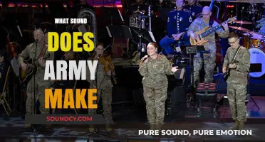 Marching Boots, Gunfire, and Commands: Decoding the Sounds of the Army