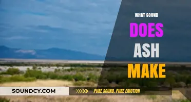 Unraveling the Mystery: What Sound Does Ash Make in Nature?