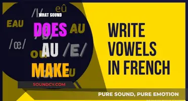 What Sound Does 'Au' Make? Unlocking Phonetic Mysteries in Language