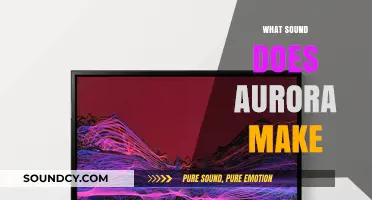 Unveiling the Silent Beauty: Exploring the Sounds of the Aurora