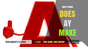 Decoding the 'AY' Sound: Phonetics, Pronunciation, and Common Examples