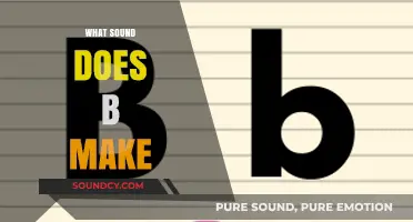 What Sound Does B Make? Exploring the Phonetic Magic of the Letter B