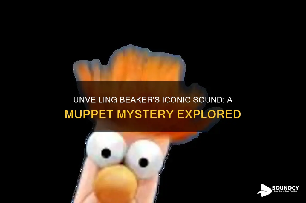 what sound does beaker make