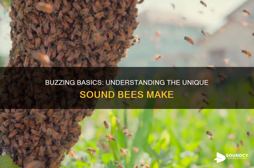 what sound does bee make