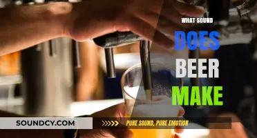 The Surprising Sounds of Beer: From Pour to Fizz and Beyond