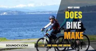 Pedal Power: Decoding the Unique Sounds Bikes Make on the Move