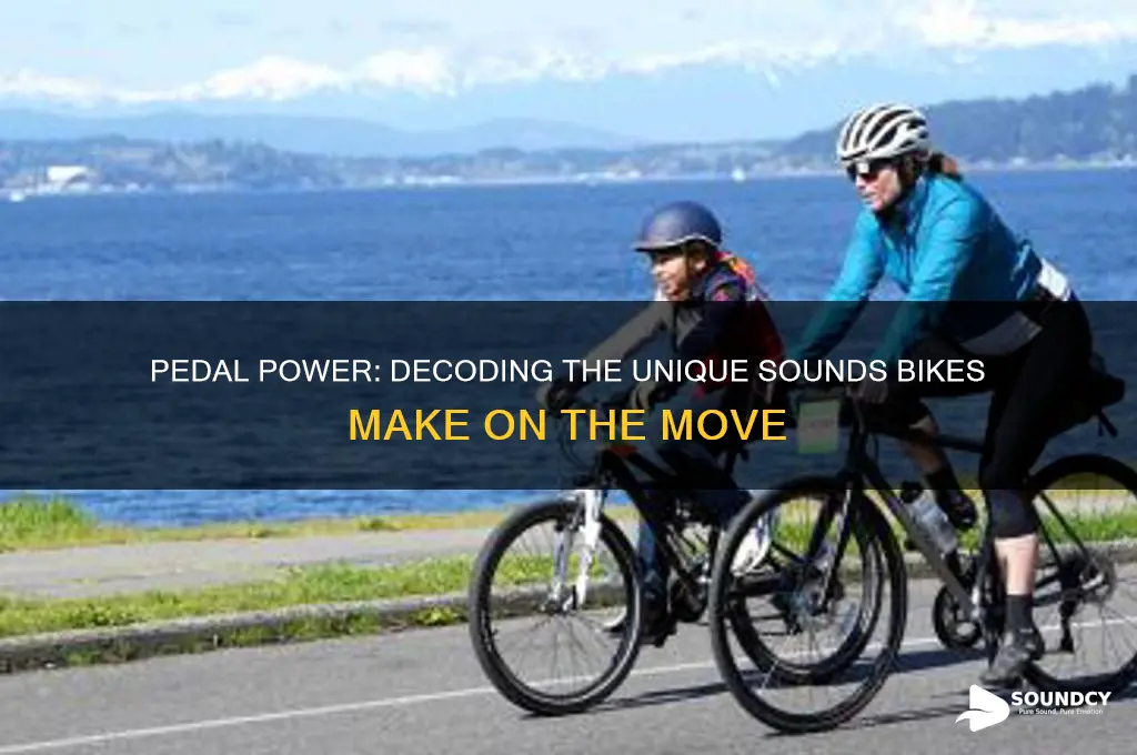what sound does bike make