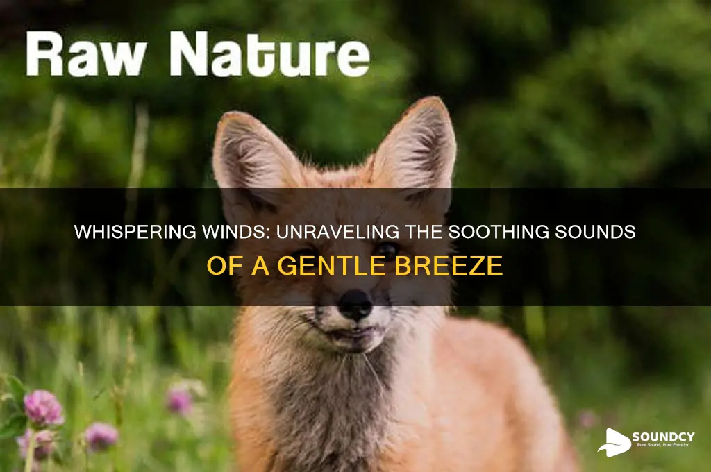 what sound does breeze make