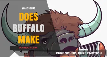 Unveiling the Unique Vocalizations: What Sound Does a Buffalo Make?