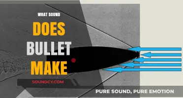 The Sonic Boom: Decoding the Unique Sound of a Bullet