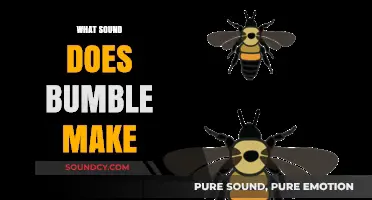 Unveiling the Mystery: What Sound Does a Bumblebee Actually Make?