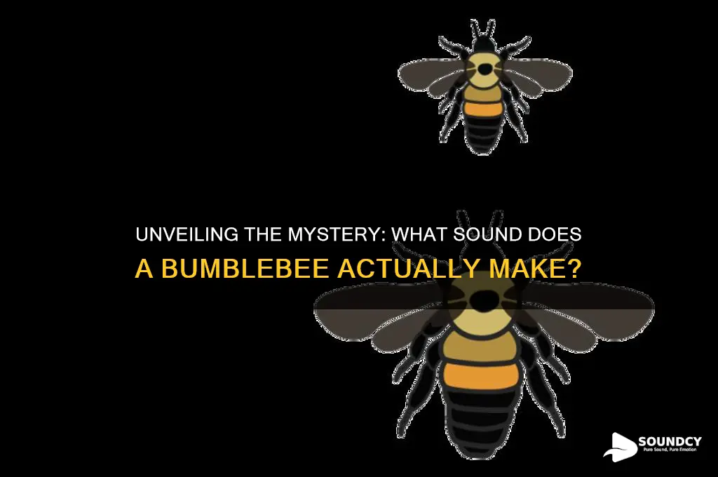 what sound does bumble make
