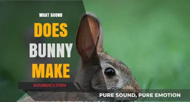 What Sound Does a Bunny Make? Exploring Rabbit Noises and Communication