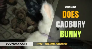 Cadbury Bunny's Iconic Sound: Unraveling the Chocolatey Clucking Mystery