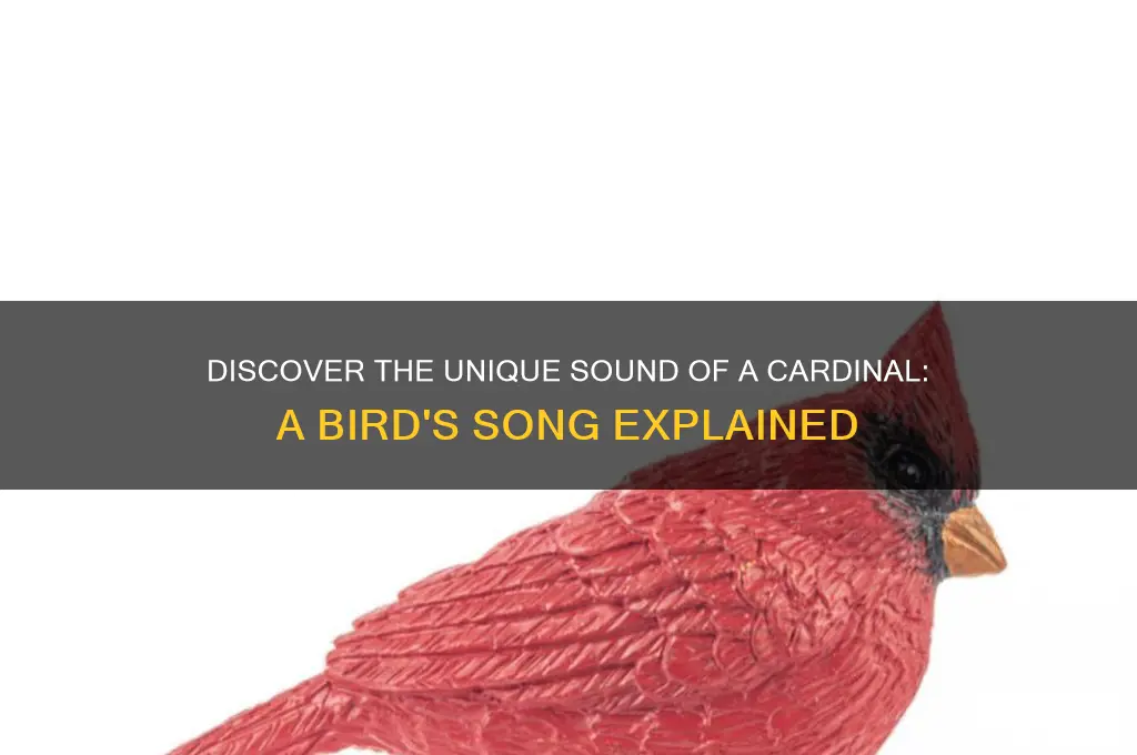 what sound does cardinal make
