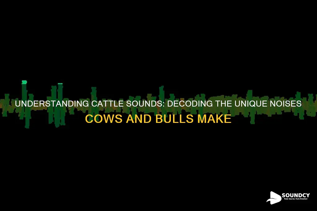 what sound does cattle make