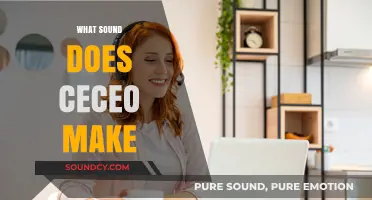 Unraveling the Unique Sound of Ceceo: A Linguistic Exploration