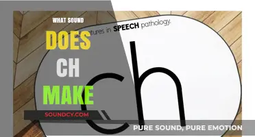 Understanding the 'Ch' Sound: Pronunciation, Examples, and Common Uses