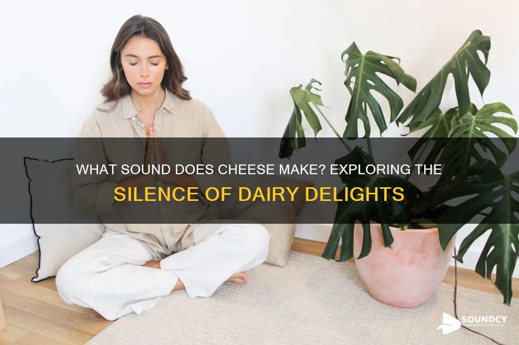 what sound does cheese make
