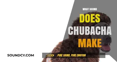 Unveiling the Mystery: What Sound Does Chubacha Actually Make?