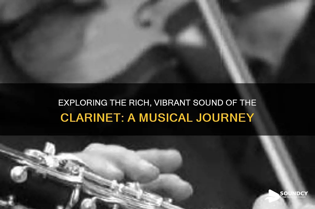 what sound does clairnet make