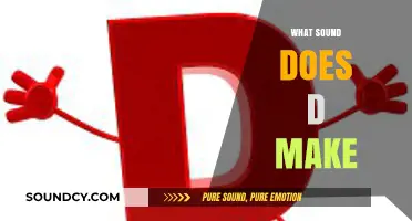 Decoding the Sound of D: A Phonetic Journey for Language Learners