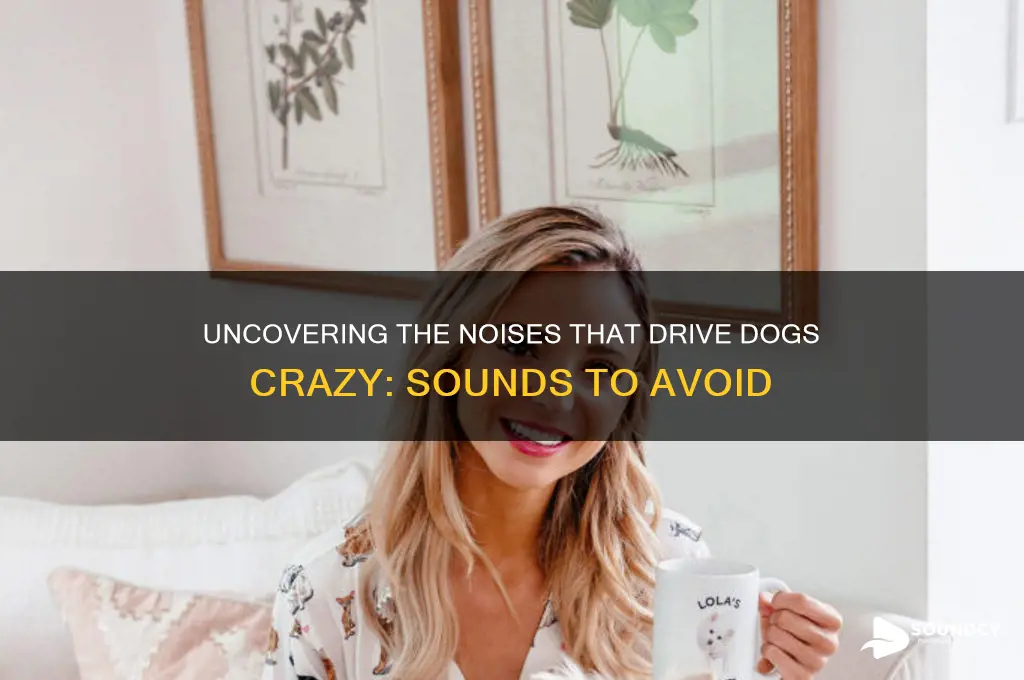 what sound does dog hate