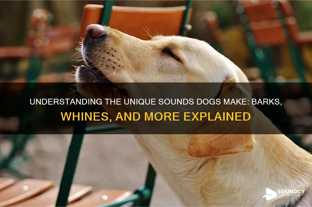 what sound does dog make