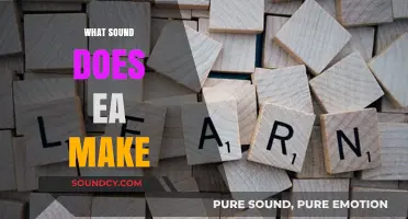 Decoding the EA Sound: A Guide to Phonics and Pronunciation