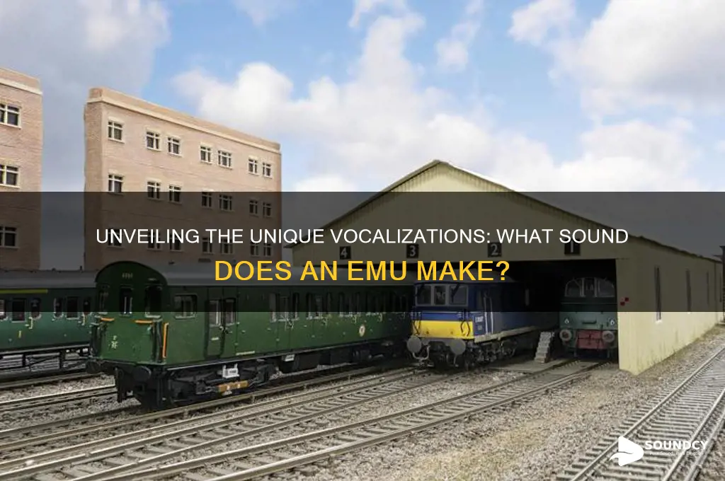 what sound does emu make
