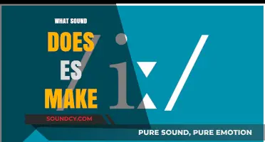 Unraveling the Mystery: What Sound Does 'Es' Make in Words?