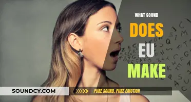 What Sound Does 'Eu' Make? Decoding Pronunciation in European Languages