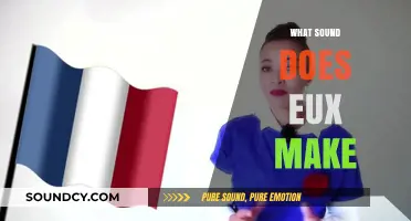 Unraveling the Mystery: What Sound Does 'Eux' Make in Language?