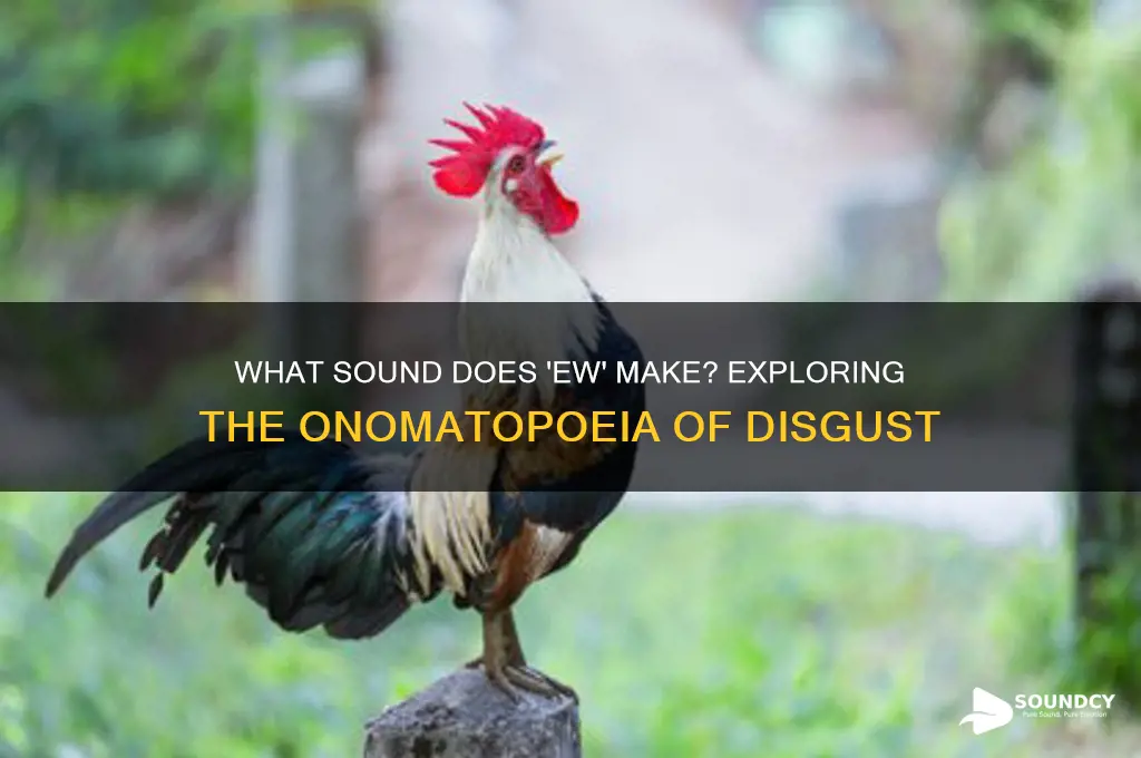 what sound does ew make