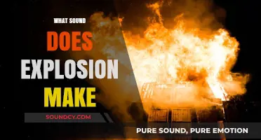 Explosive Sounds: Decoding the Shocking Noise of Detonations