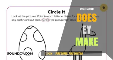 What Sound Does 'Ey' Make? Decoding Phonetics in English Words