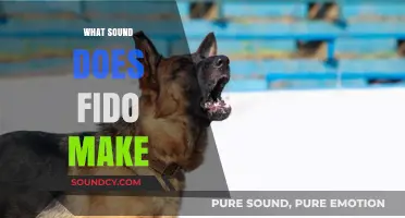 What Sound Does Fido Make? Exploring Dog Noises and Their Meanings