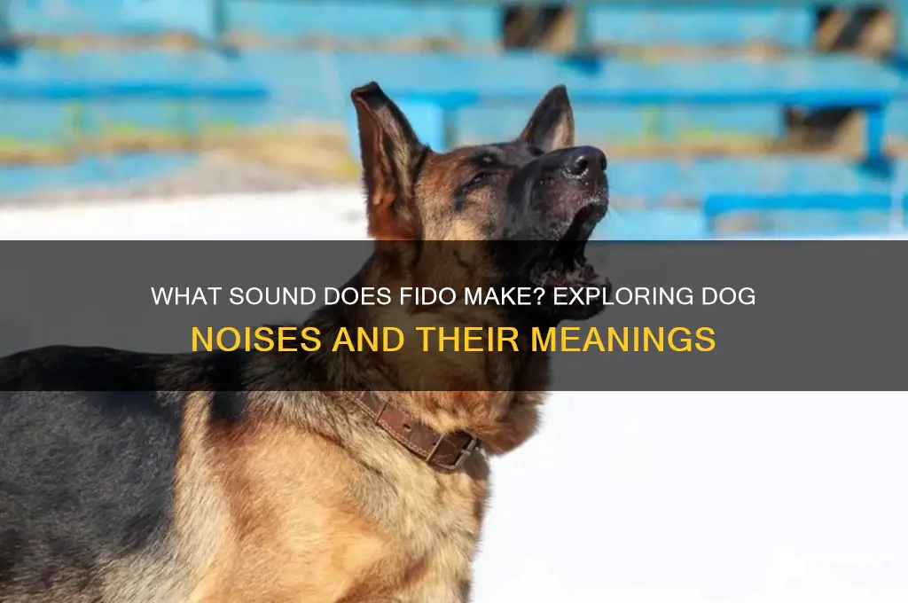 what sound does fido make