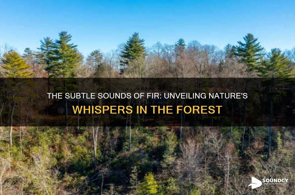 what sound does fir make