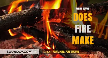 The Crackling Whisper: Decoding the Intriguing Sounds of Fire