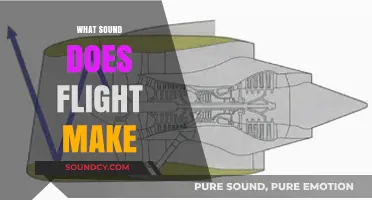 What Sound Does Flight Make? Exploring the Noises of Air Travel