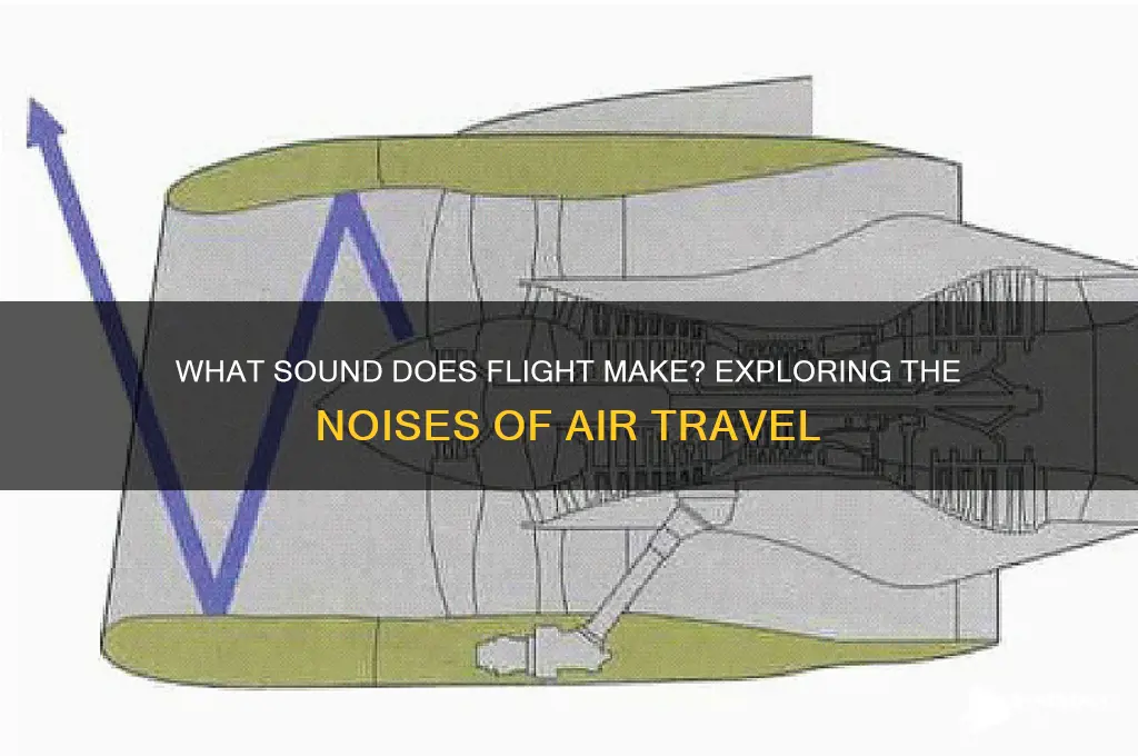 what sound does flight make
