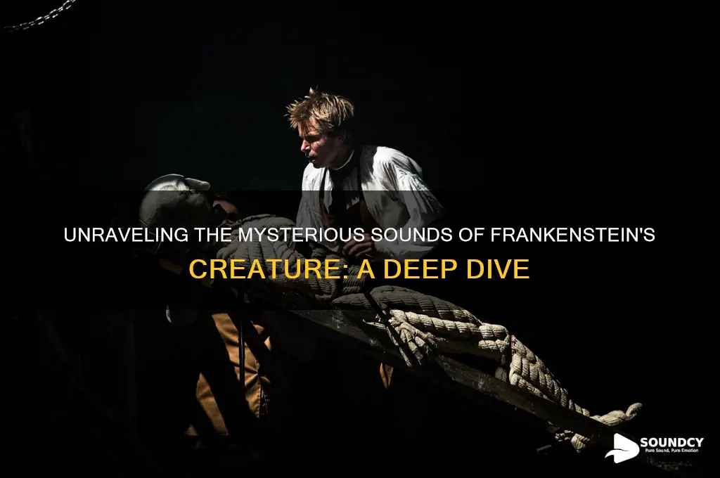 what sound does frankenstein make