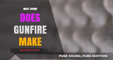 Exploring the Distinctive and Varied Sounds of Gunfire
