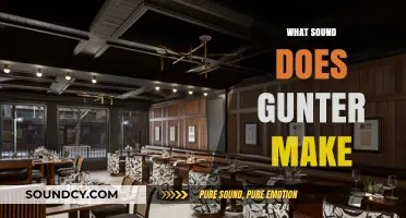 Unveiling Gunter's Unique Sound: A Comprehensive Guide to His Iconic Noise