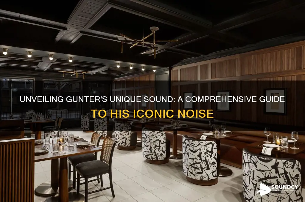 what sound does gunter make