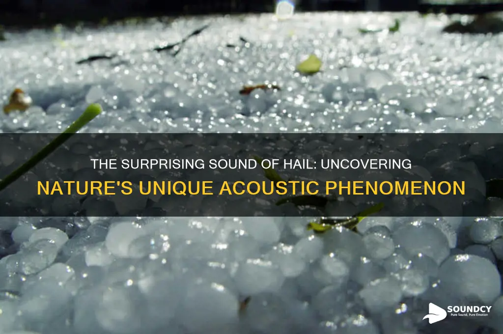 what sound does hail make