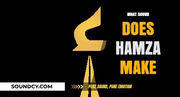 Unveiling the Unique Sound of Hamza in Arabic Phonetics